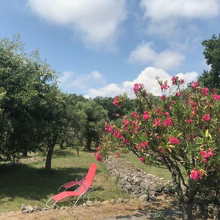 ונס Villa Du Sud מראה חיצוני תמונה