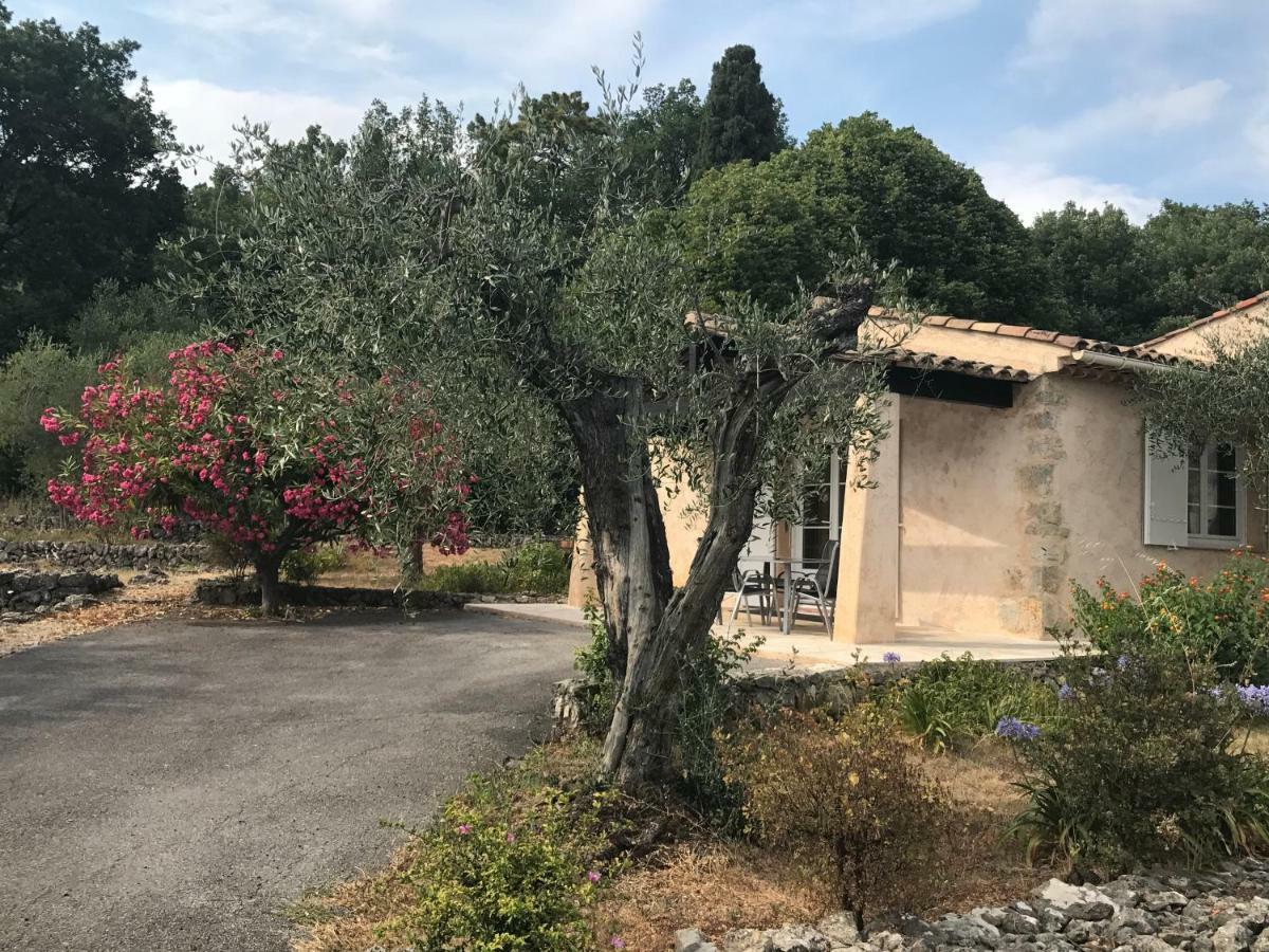 ונס Villa Du Sud מראה חיצוני תמונה